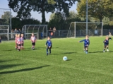 JO7 Toernooitje op Sportpark Het Springer zaterdag 21 september 2024 (65/147)